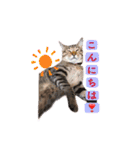 トリミングサロンMKDOGスタンプ（個別スタンプ：36）