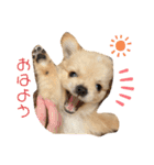 ちんくんすたんぷ（個別スタンプ：1）