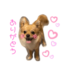 ちんくんすたんぷ（個別スタンプ：3）