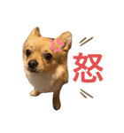 ちんくんすたんぷ（個別スタンプ：9）