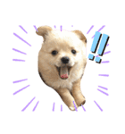 ちんくんすたんぷ（個別スタンプ：14）