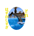 ぽふぽふどうぶつ（個別スタンプ：18）