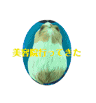 ぽふぽふどうぶつ（個別スタンプ：21）