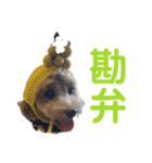 Botanp（個別スタンプ：10）