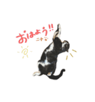 クロちゃんと仲間たち（個別スタンプ：17）