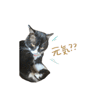 クロちゃんと仲間たち（個別スタンプ：18）