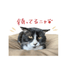 クロちゃんと仲間たち（個別スタンプ：23）