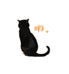 クロちゃんと仲間たち（個別スタンプ：30）