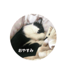 福助です（個別スタンプ：1）