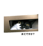 福助です（個別スタンプ：5）