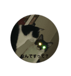 福助です（個別スタンプ：6）