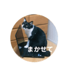 福助です（個別スタンプ：15）