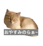羅生♡愛羅（個別スタンプ：5）