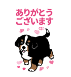 Bernese Mountain Dog Big Sticker（個別スタンプ：4）