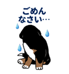 Bernese Mountain Dog Big Sticker（個別スタンプ：9）