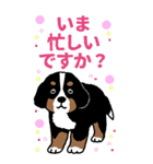 Bernese Mountain Dog Big Sticker（個別スタンプ：11）