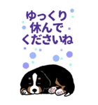 Bernese Mountain Dog Big Sticker（個別スタンプ：15）