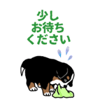 Bernese Mountain Dog Big Sticker（個別スタンプ：18）