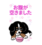 Bernese Mountain Dog Big Sticker（個別スタンプ：19）