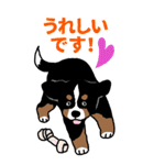 Bernese Mountain Dog Big Sticker（個別スタンプ：20）