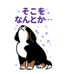 Bernese Mountain Dog Big Sticker（個別スタンプ：23）