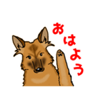 雑種犬しるこ＆もなか（個別スタンプ：1）