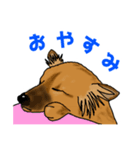 雑種犬しるこ＆もなか（個別スタンプ：2）