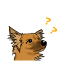 雑種犬しるこ＆もなか（個別スタンプ：3）