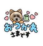 トイプードルの琥珀くん（個別スタンプ：5）