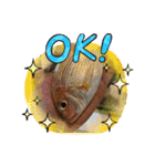 魚三昧ver2.1（個別スタンプ：9）