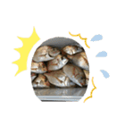 魚三昧ver2.1（個別スタンプ：11）