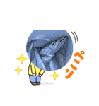 魚三昧ver2.1（個別スタンプ：16）