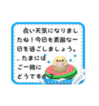 Sea ottrsticker（個別スタンプ：15）