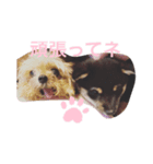 モリモトウメコハマメシバヨ（個別スタンプ：5）