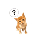 つくね スタンプ（個別スタンプ：6）
