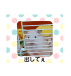 日常会話ペットversion（個別スタンプ：5）