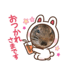 デグーのいる生活♡（個別スタンプ：9）