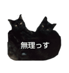 にゃんずな日々（個別スタンプ：6）