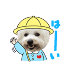 麦ちゃんのスタンプ作ったよ〜（個別スタンプ：1）