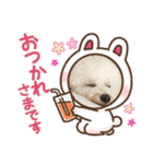 麦ちゃんのスタンプ作ったよ〜（個別スタンプ：7）