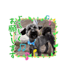 男の子と愛犬（個別スタンプ：13）