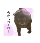 ♥K♥O♥U♥M♥E♥（個別スタンプ：6）