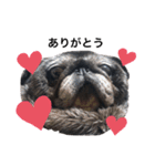 ♥K♥O♥U♥M♥E♥（個別スタンプ：8）
