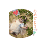 織雨スタンプ⸜❤︎⸝‍（個別スタンプ：14）