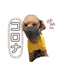 エリー犬（個別スタンプ：6）