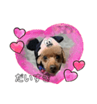 エリー犬（個別スタンプ：9）