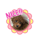 エリー犬（個別スタンプ：11）