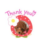 エリー犬（個別スタンプ：12）