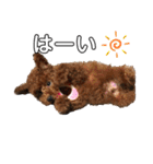 エリー犬（個別スタンプ：13）