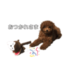 エリー犬（個別スタンプ：16）